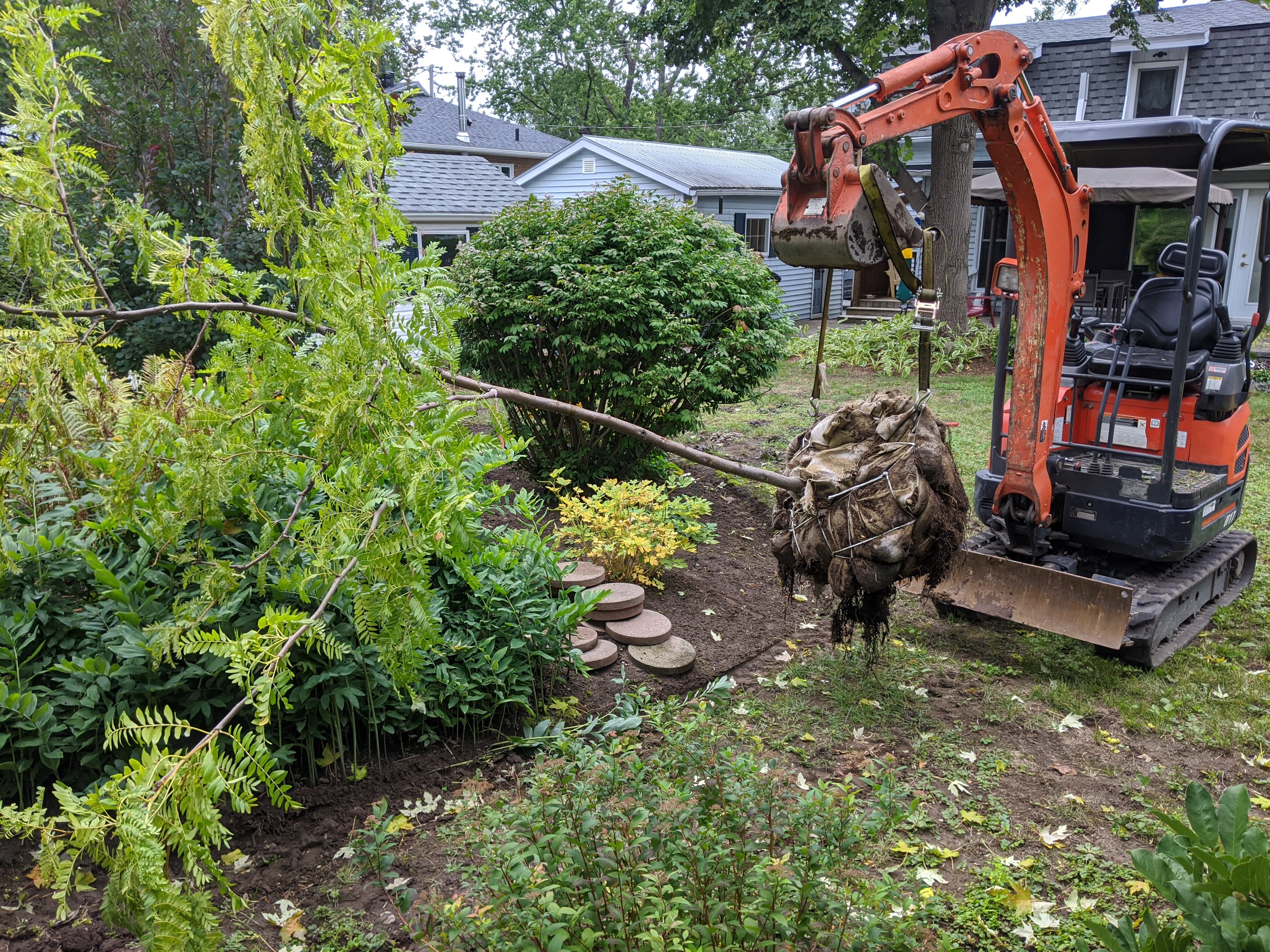 Zarb - Arboriculture Responsable