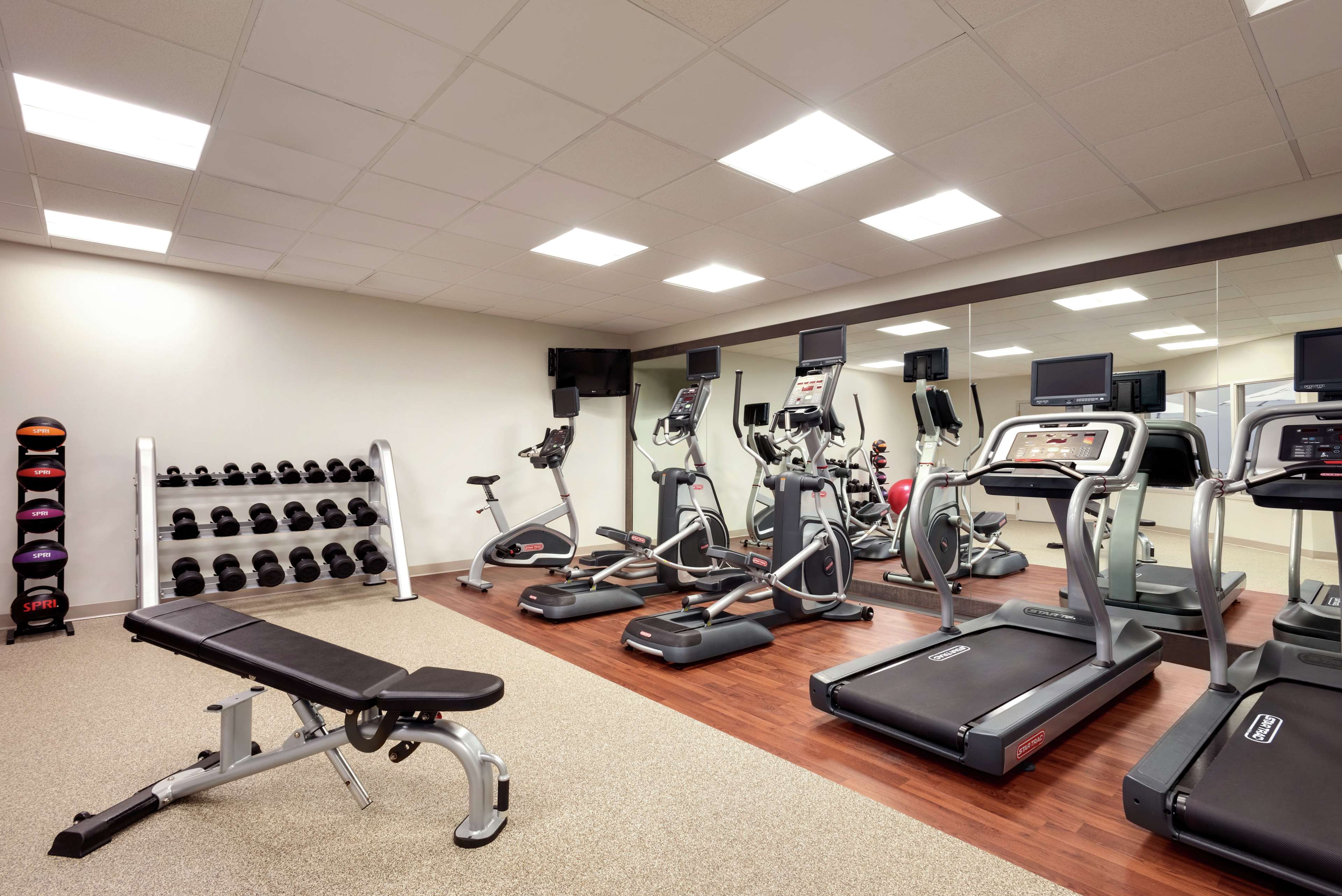 Health club  fitness center  gym