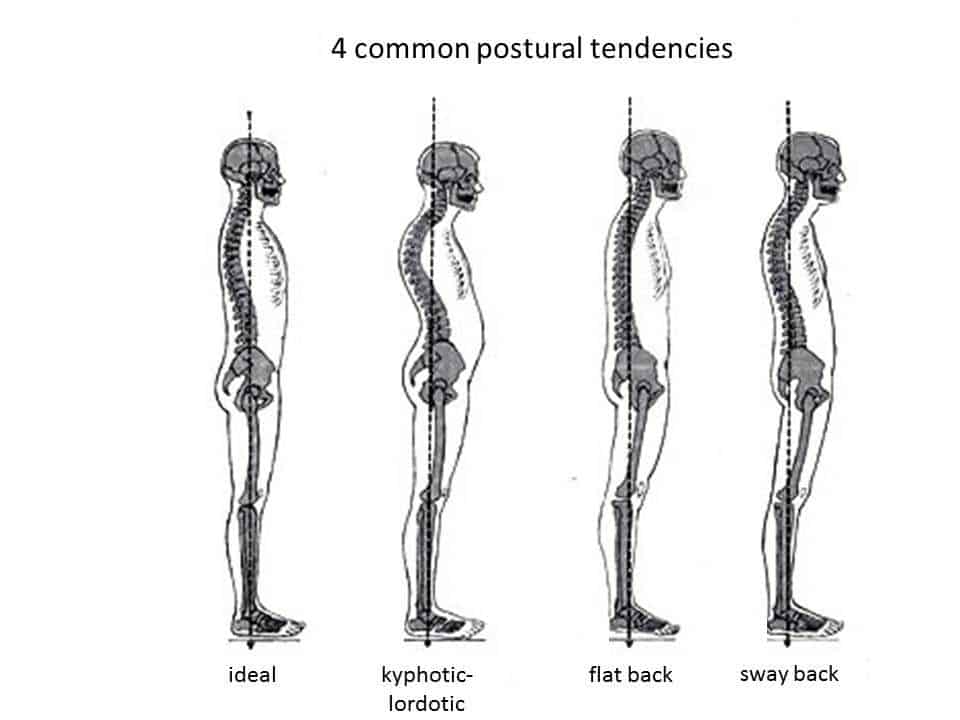 FX Chiropractic and Performance Photo