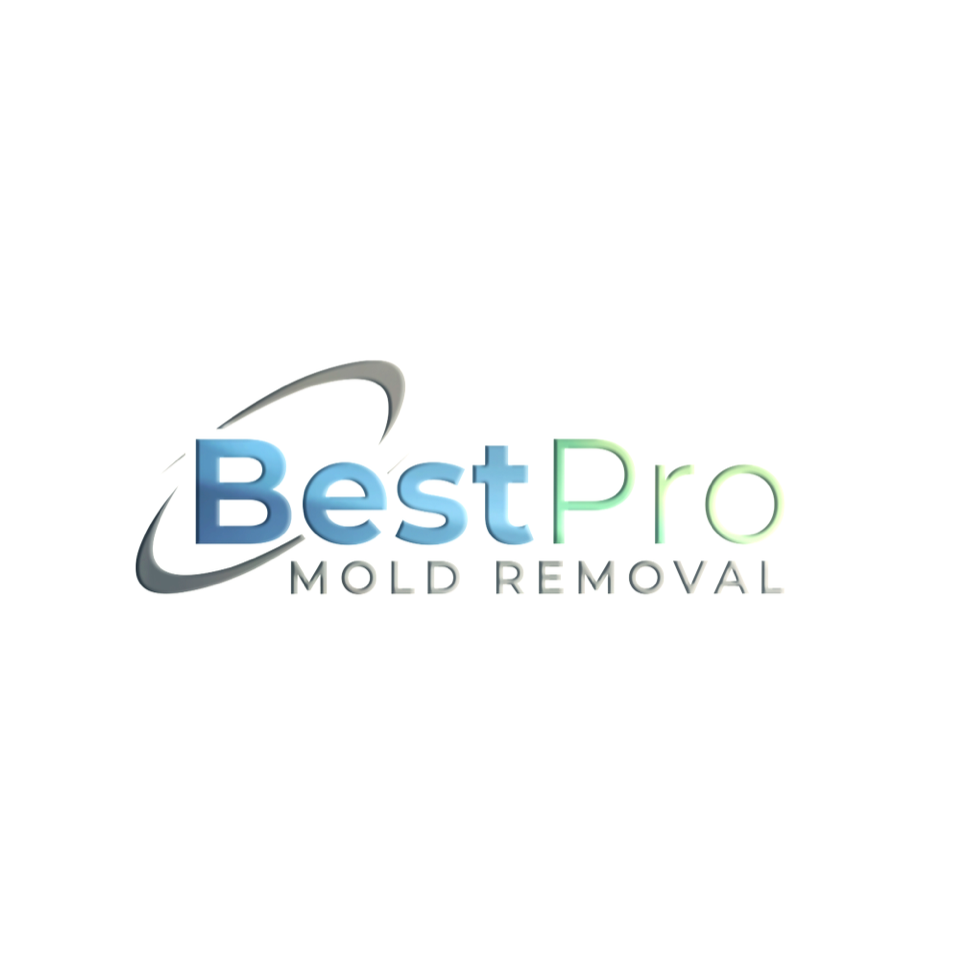 BestPro Mold Removal