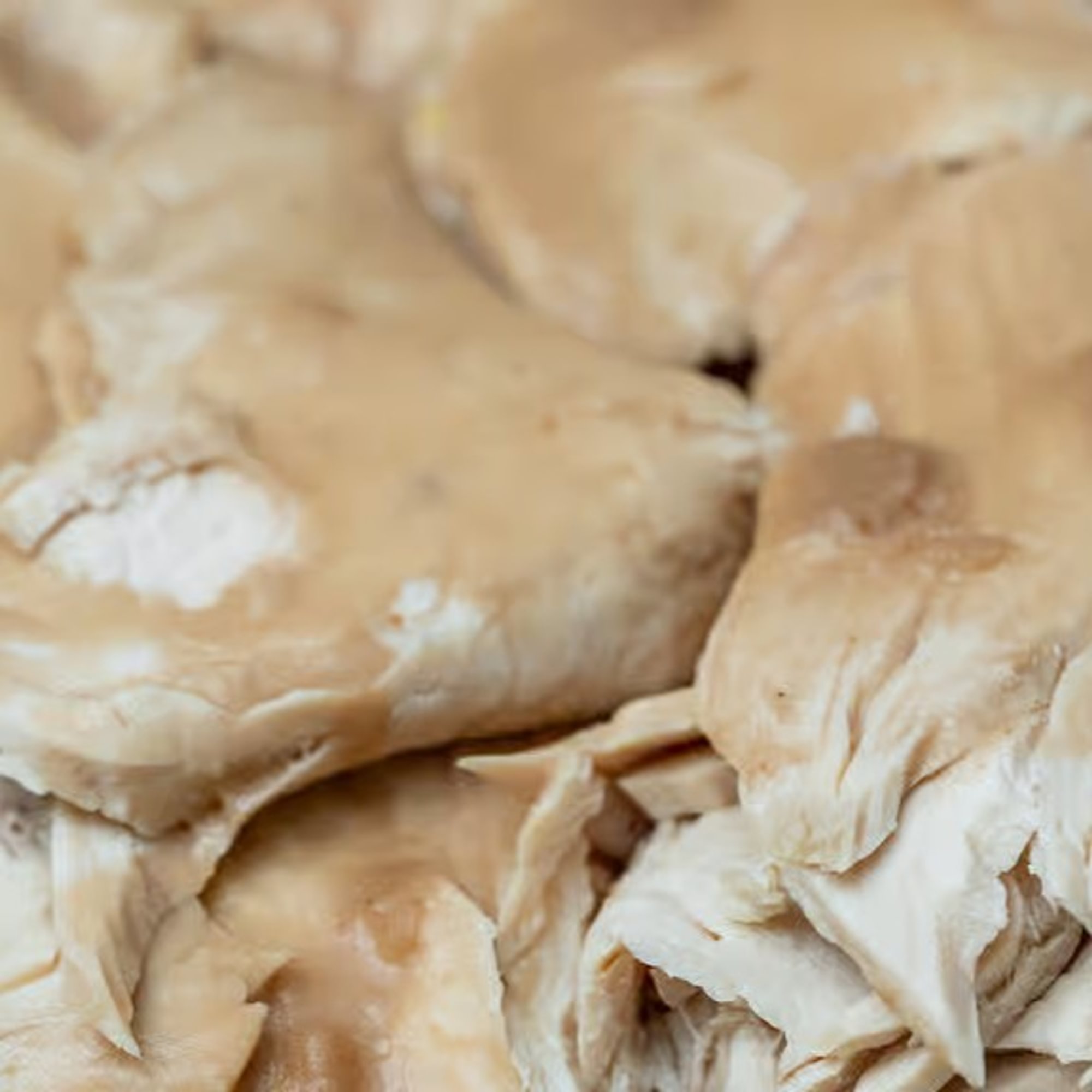 Roast Turkey