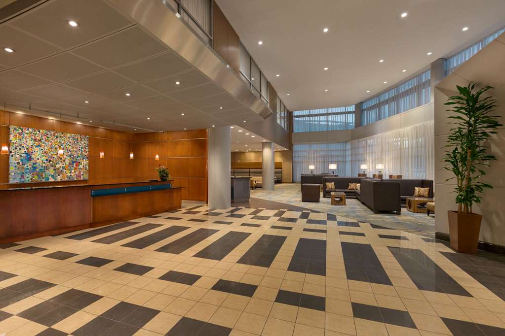 Hilton Baltimore BWI Airport Image