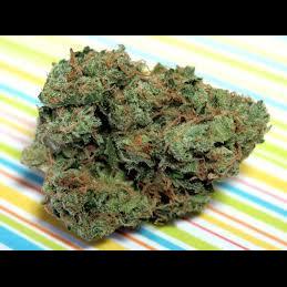 Denver Marijuana Online Logo