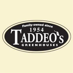 Taddeo's Greenhouses