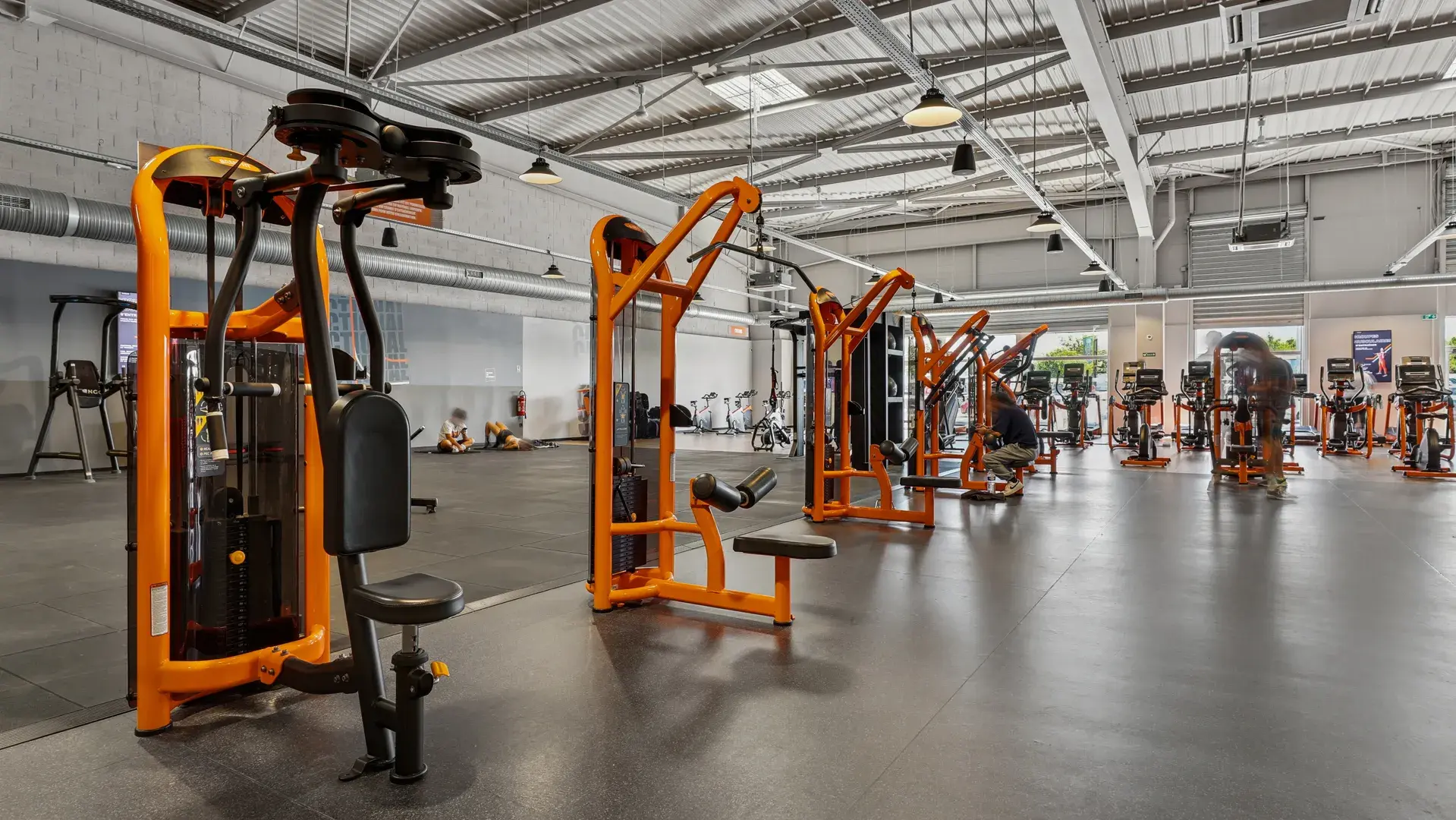 Miniature de la galerie