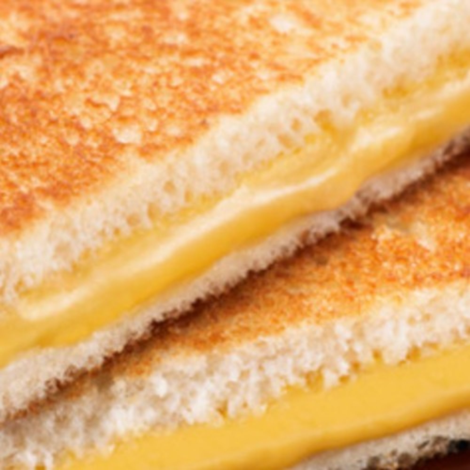 Grilled Cheese Panini
