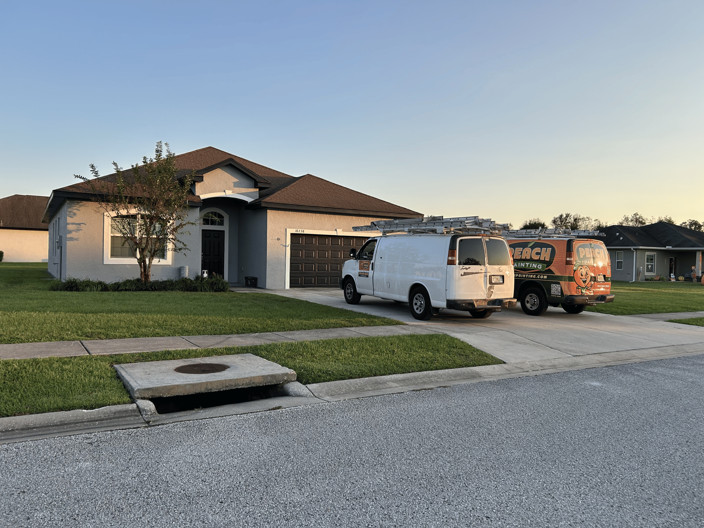 Peach Painting Image