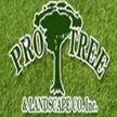 Pro Tree & Landscape Co Inc. Logo
