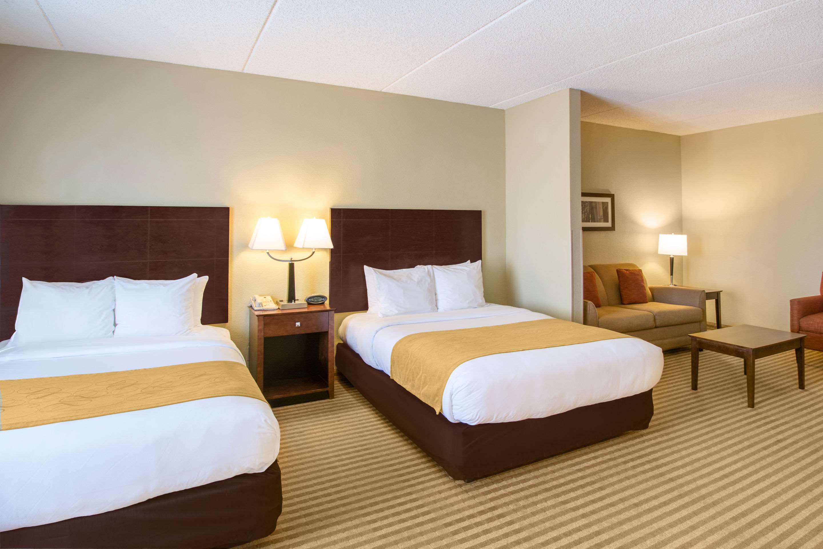 Comfort Suites Near Universal Orlando Resort Photo