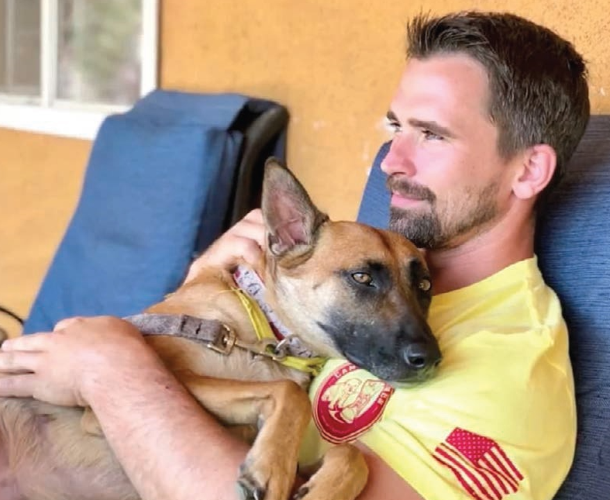 Nate Schoemer Dog Training Image