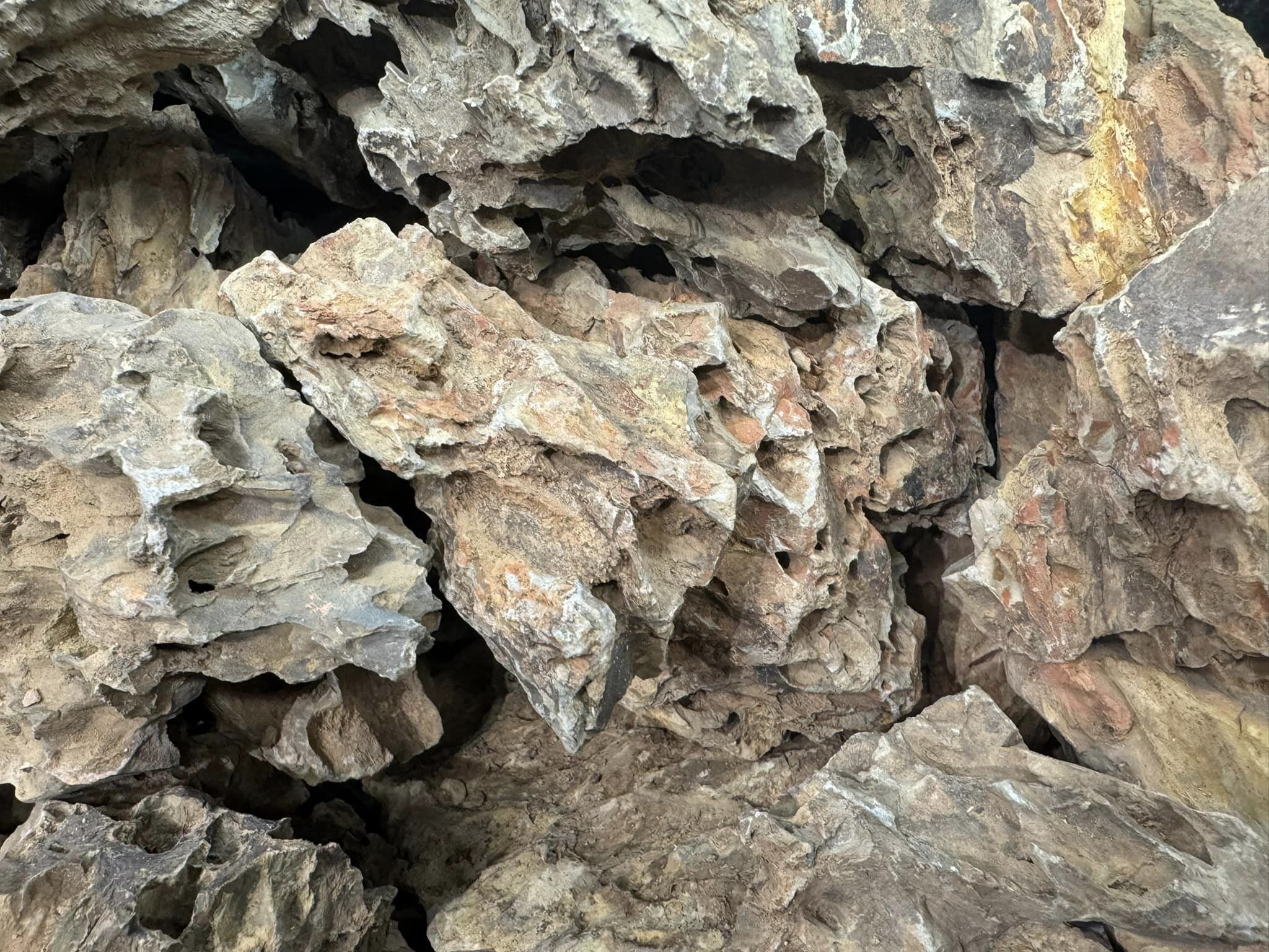Lots of Hardscape Options
