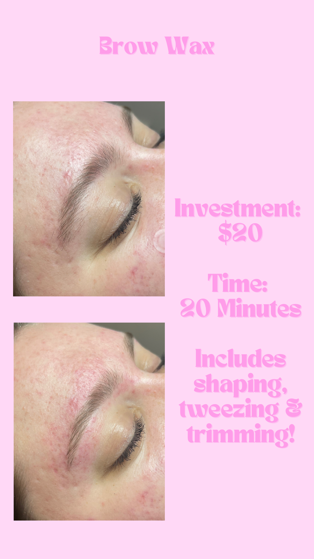 Pink Crab Wax Bar image