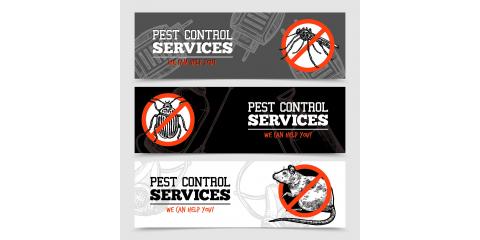 360 Pest Solutions Photo