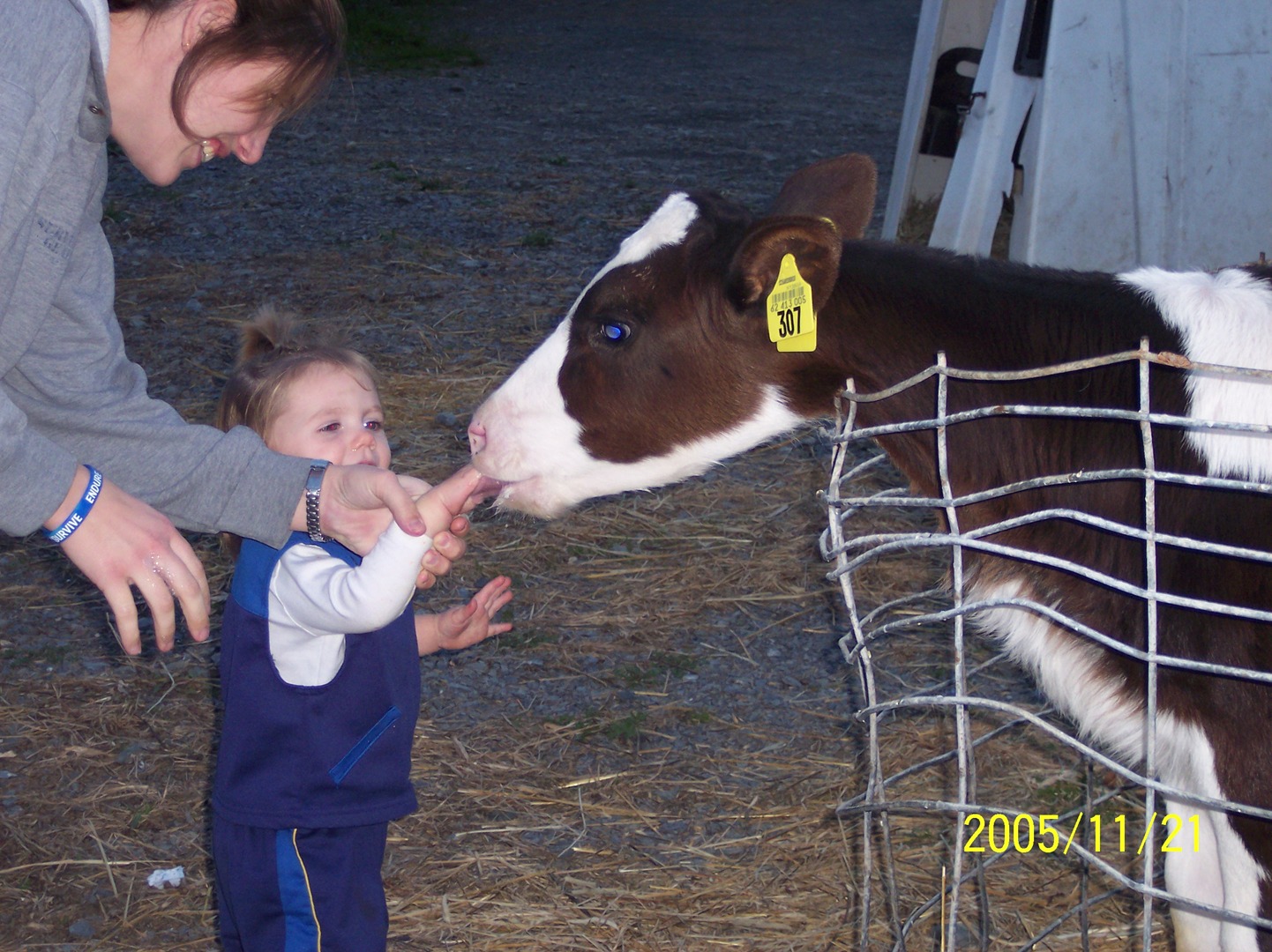 Sunset View Creamery Image
