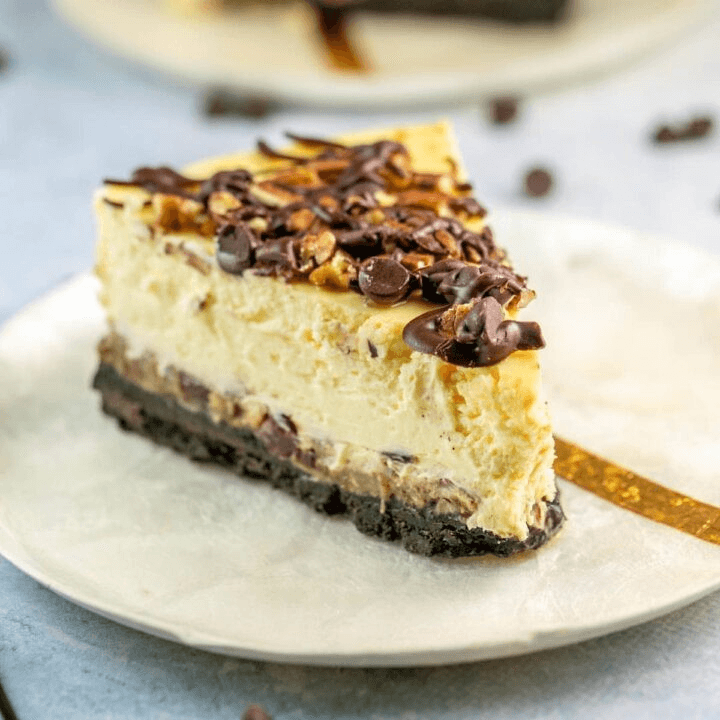 Turtle Topped Cheesecake