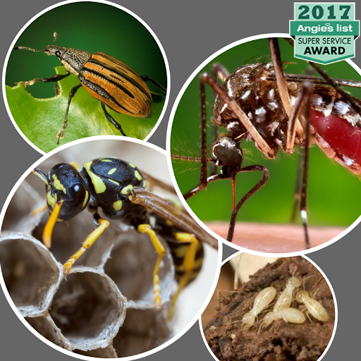 NJ Pest Control Image