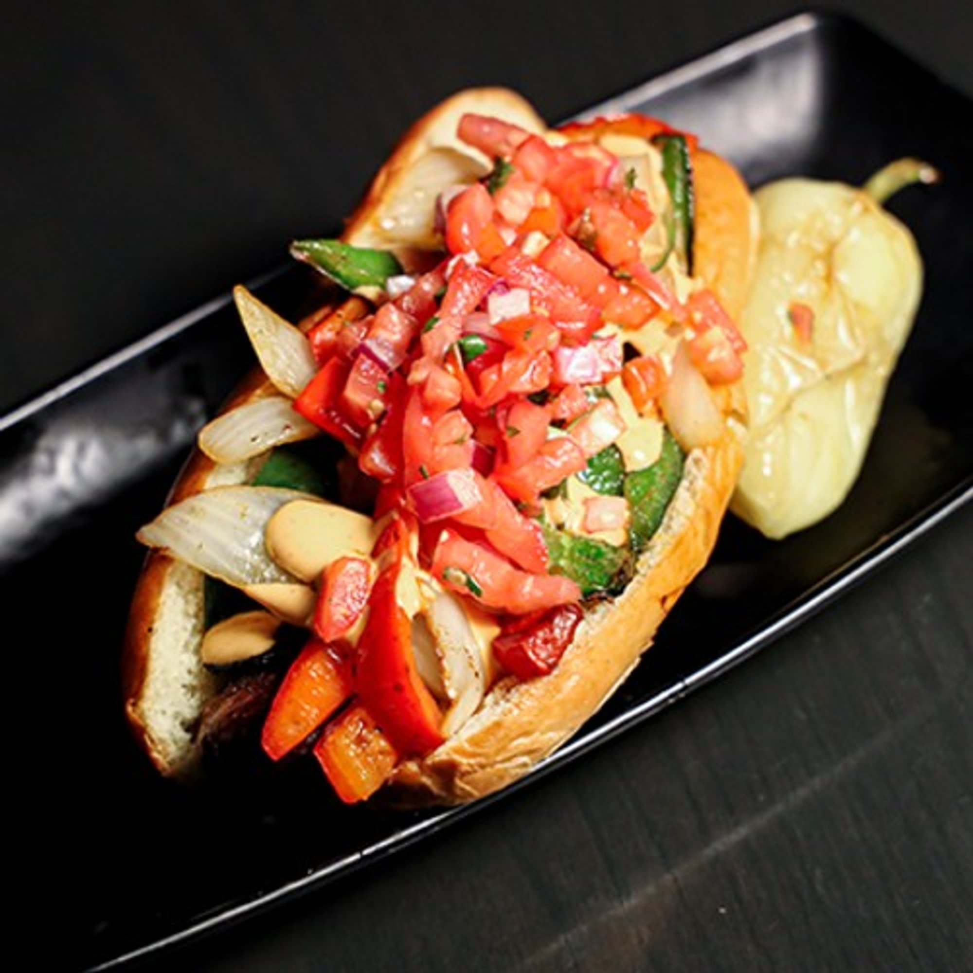 Sonora Street Dog
