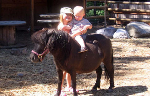 Images Whitefish / Kalispell North KOA Holiday