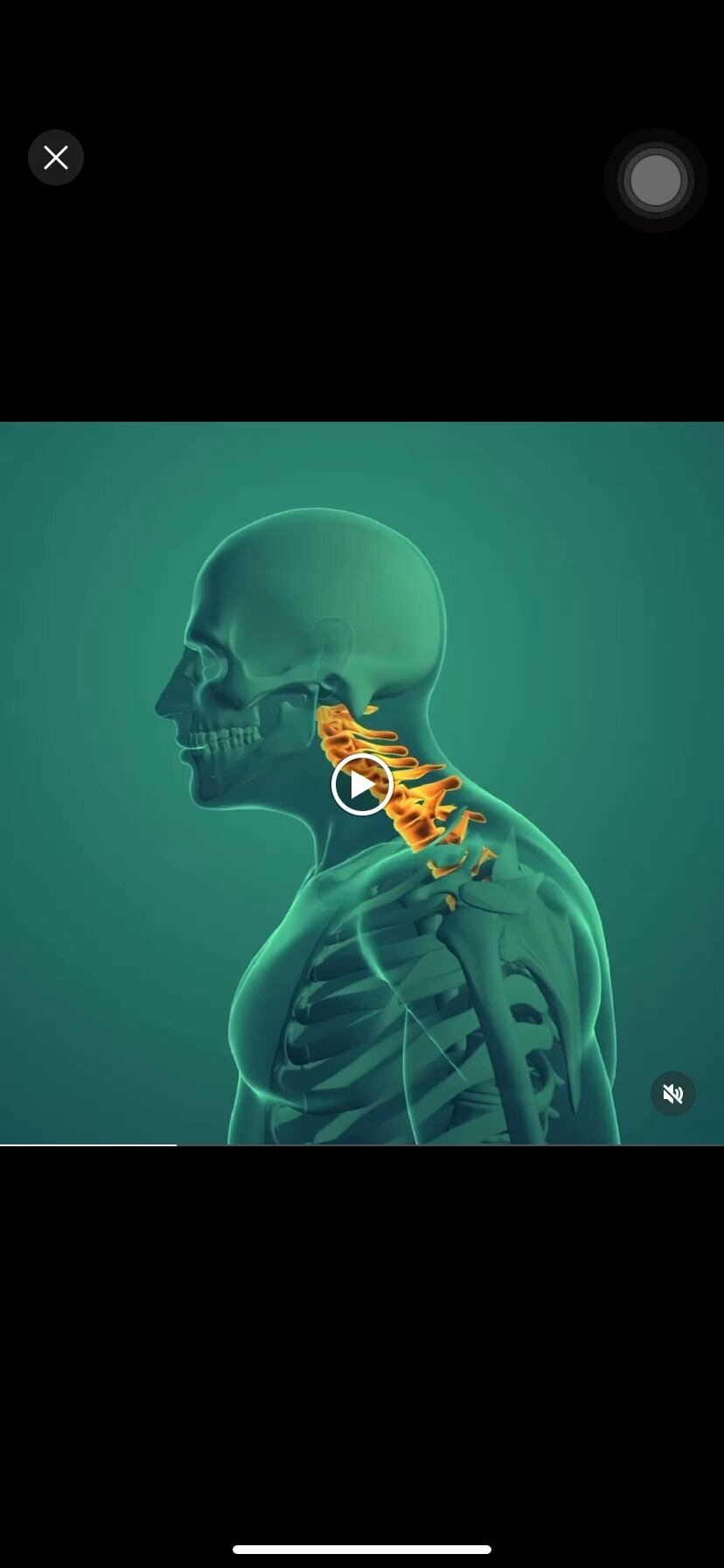 First Alternative Chiropractic Image