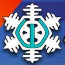 Wideman Air Services Logo