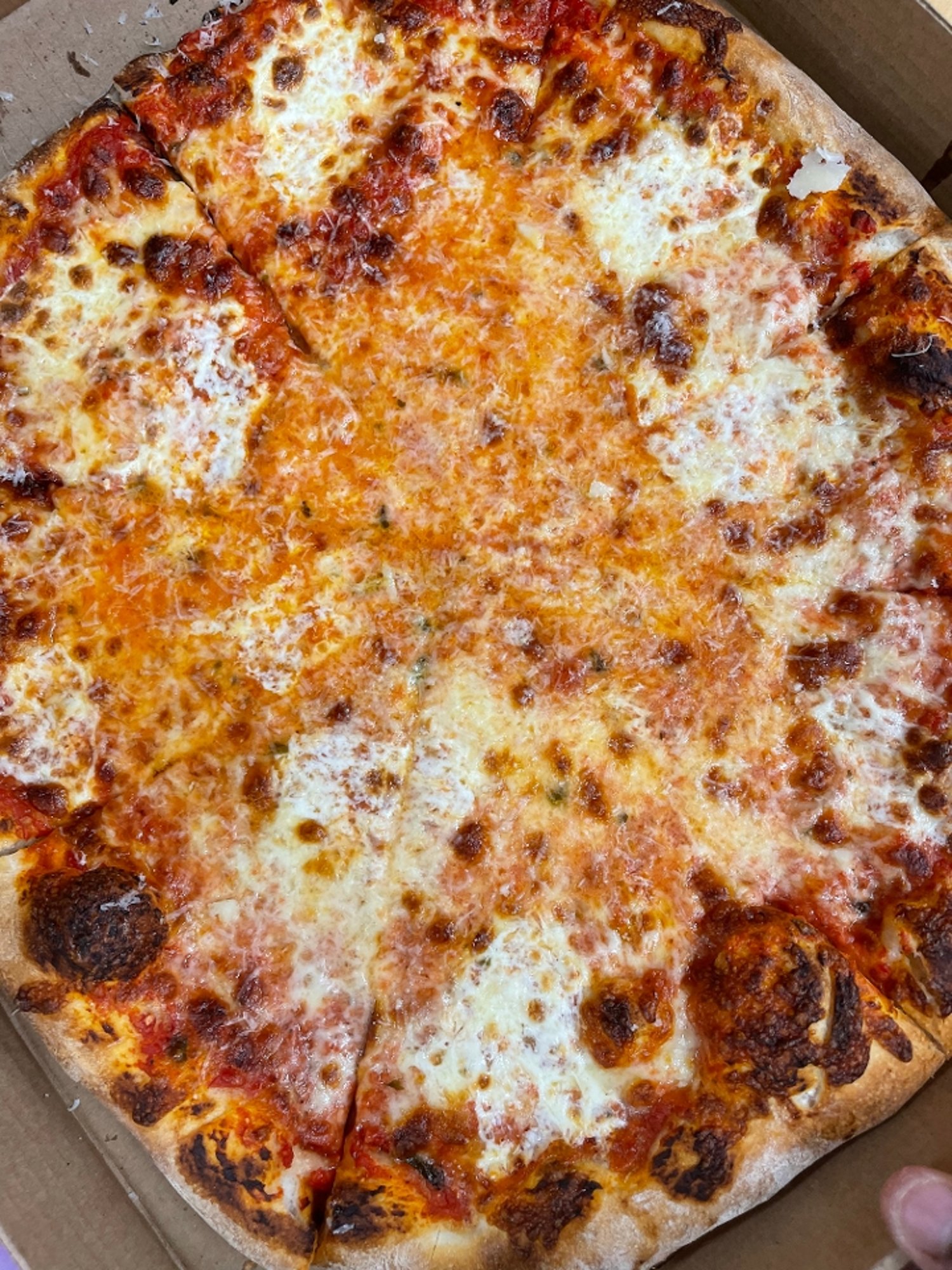 Plain Pizza