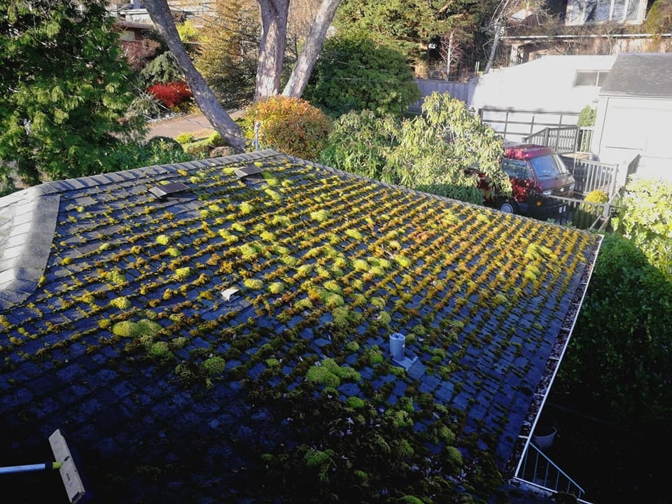 Images Roof Savers Canada
