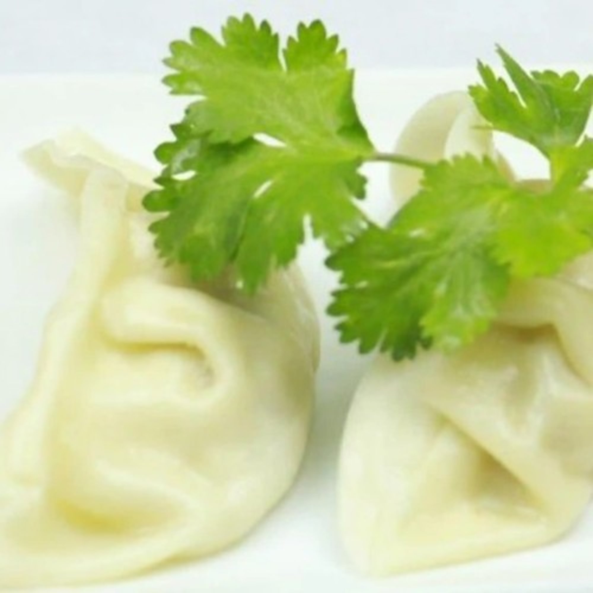 Gyoza (Japanese Pork Dumpling)