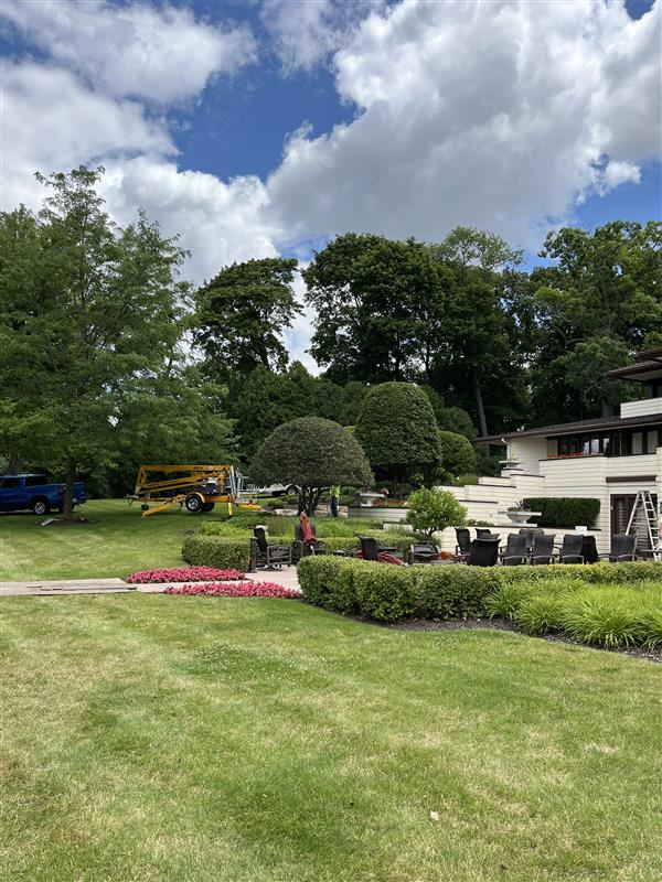 Eagle Eye Tree Service LLC Image