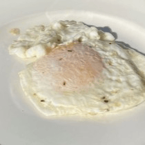 Egg