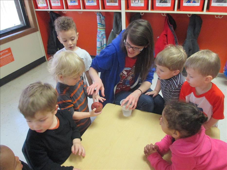 These children are very curious of the activity Ms. Harley has planned. Can we make this potato grow? Let's experiment.