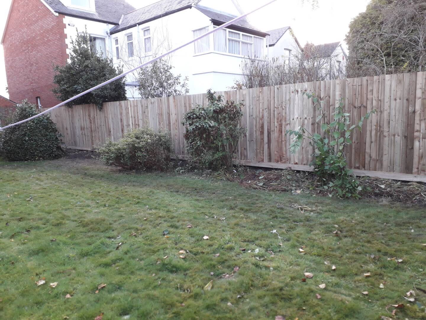 Images County Tree Services