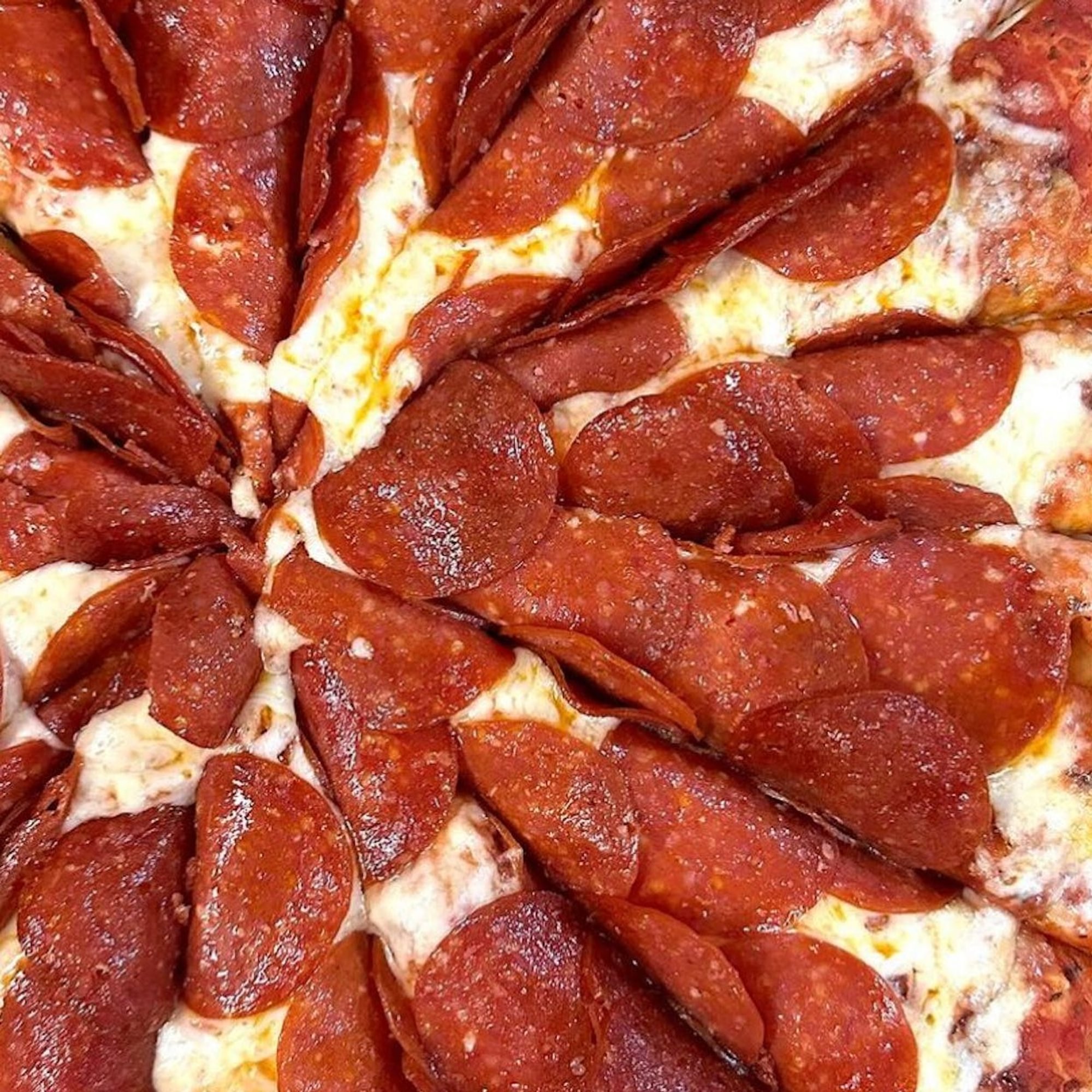 LARGE 1 TOPPING