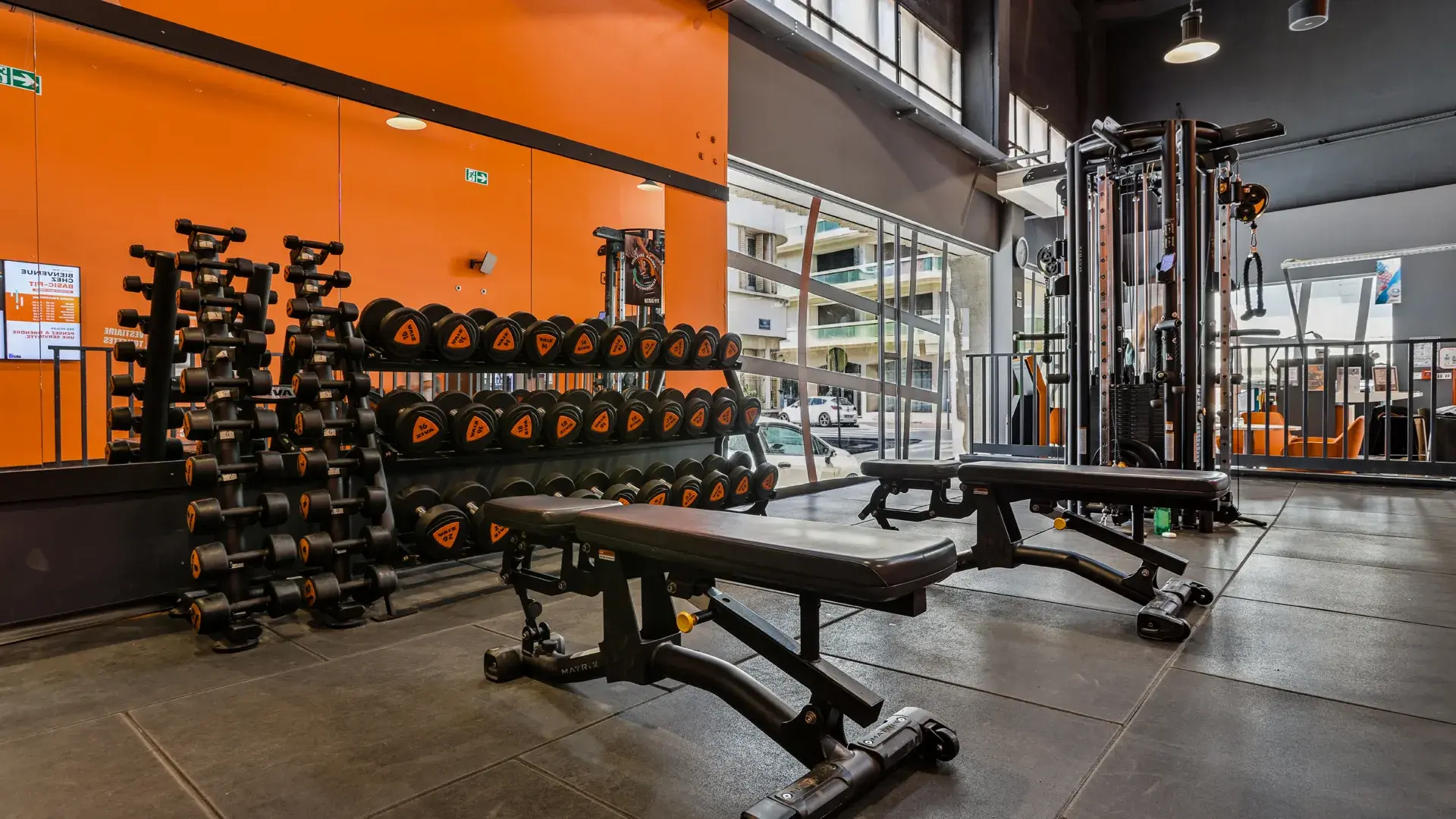 Miniature de la galerie