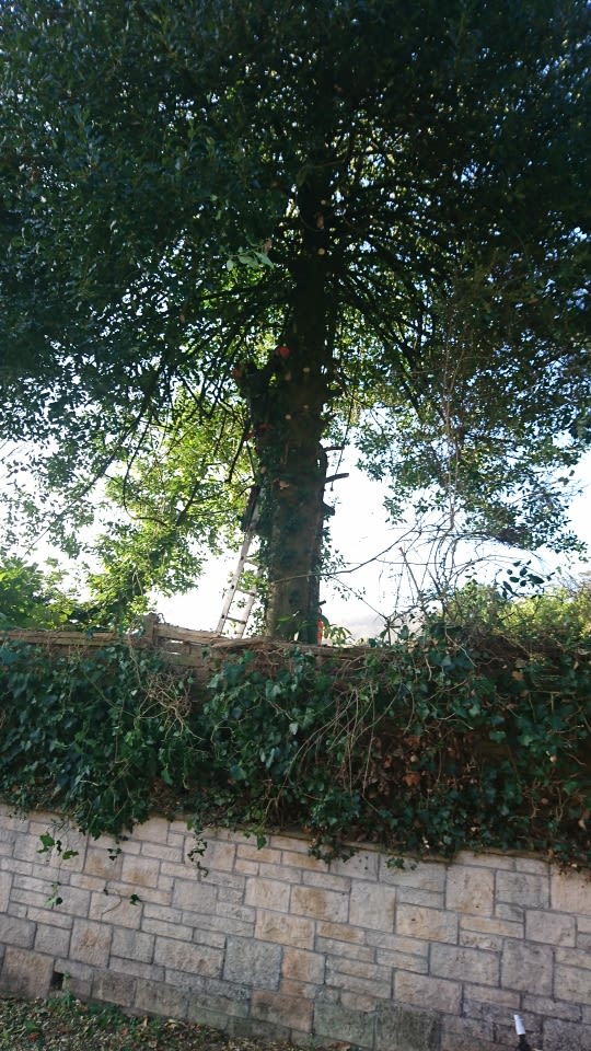 Images K & D Property Maintenance