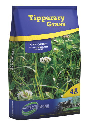 Grass Seed