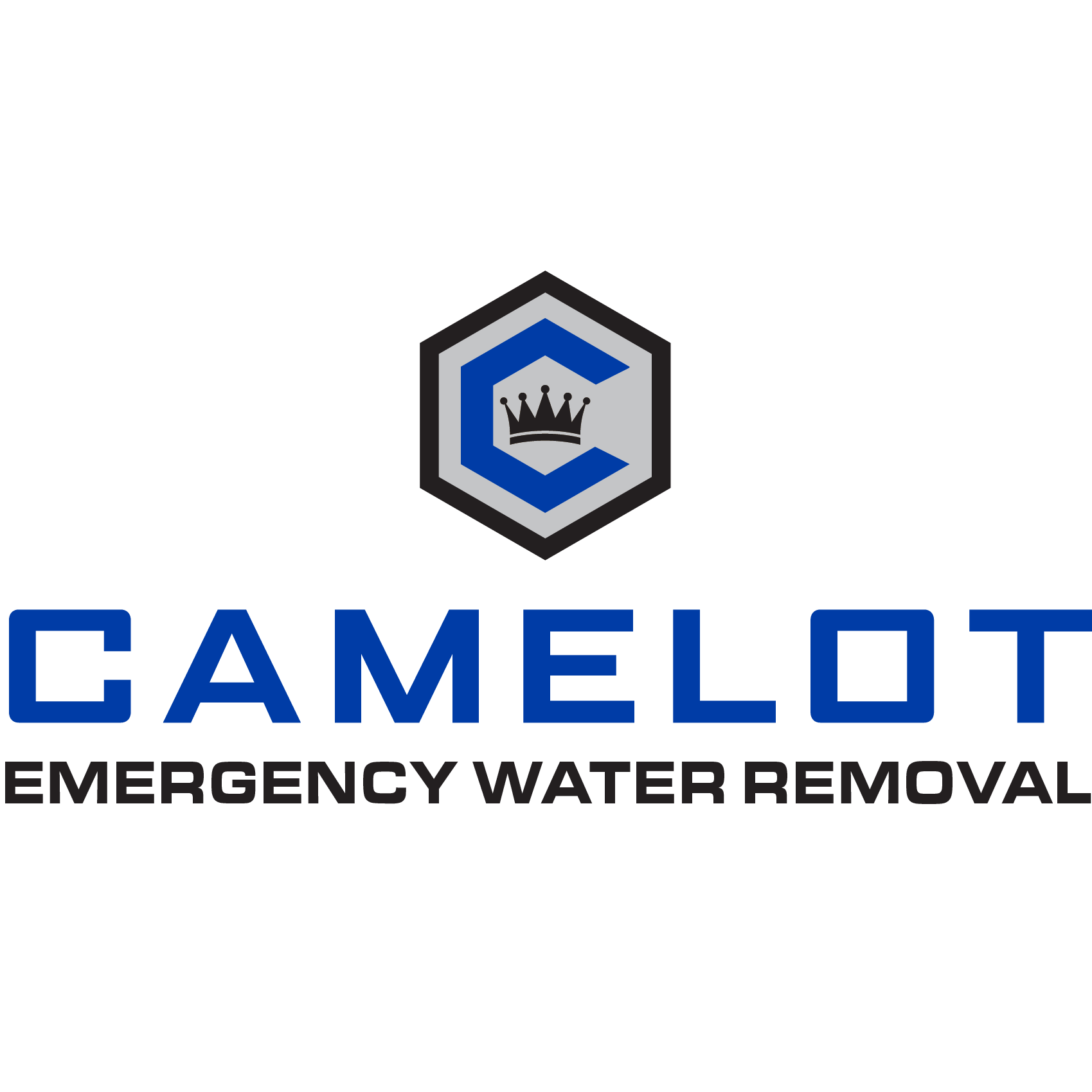 Camelot Emergency Water Removal Photo