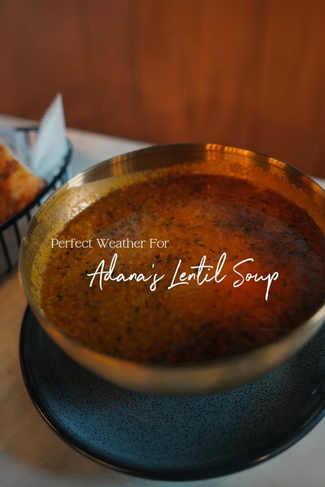 Soup of the Day