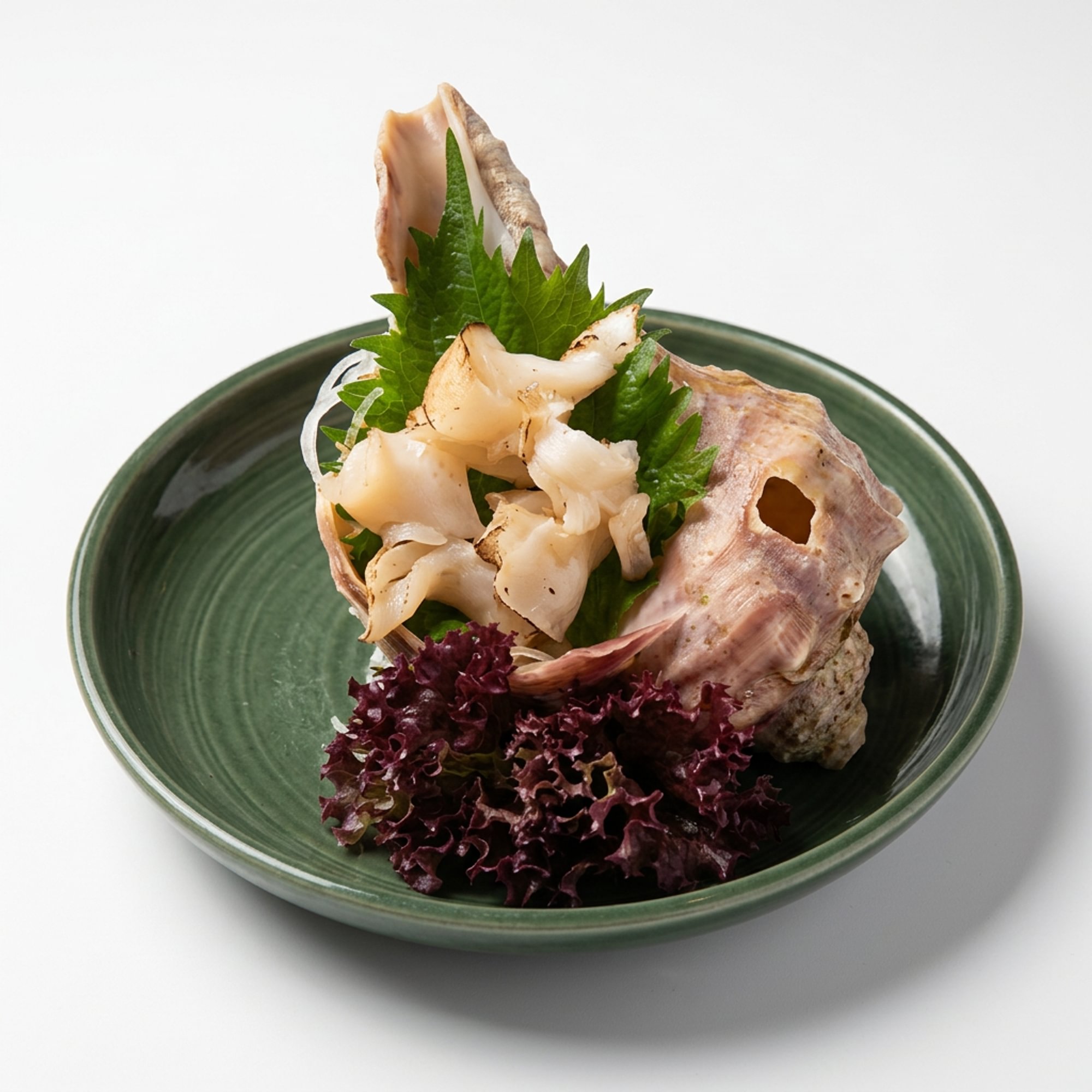 Conch Sashimi
