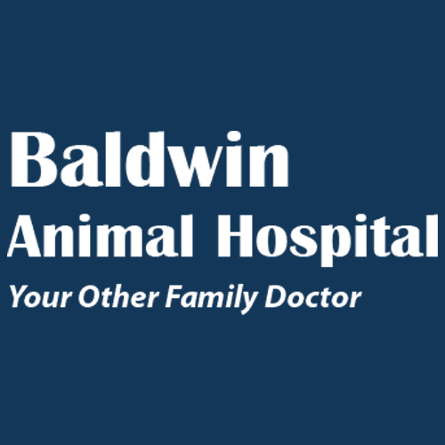 Baldwin Animal Hospital