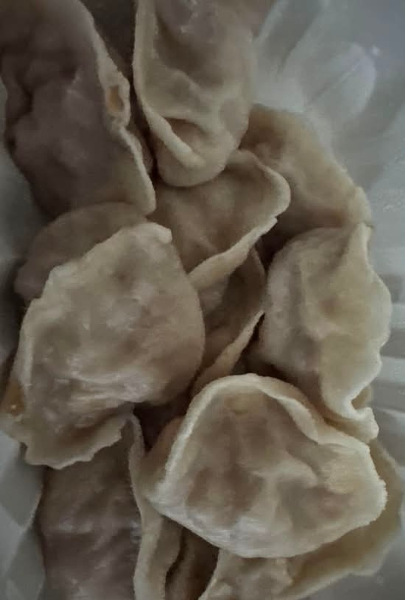Pork & Cabbage Dumplings / 白菜猪肉饺子
