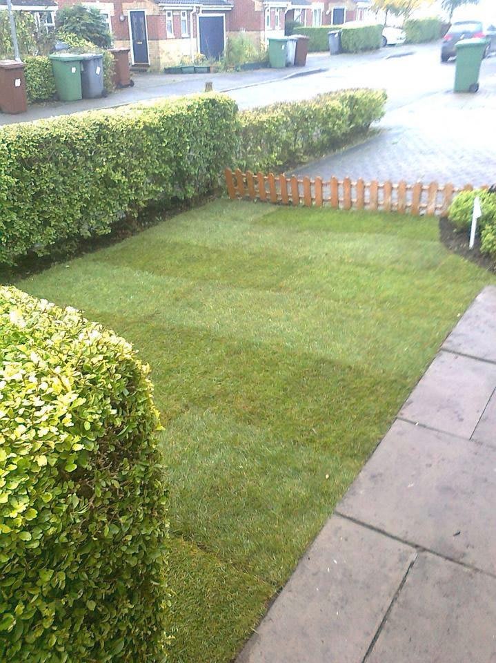 Images Tree & Garden Services