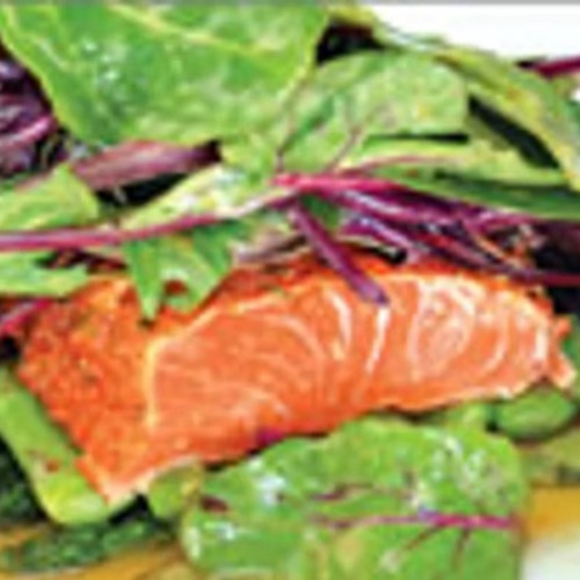 Master Salmon