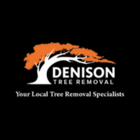 Denison Tree Removal