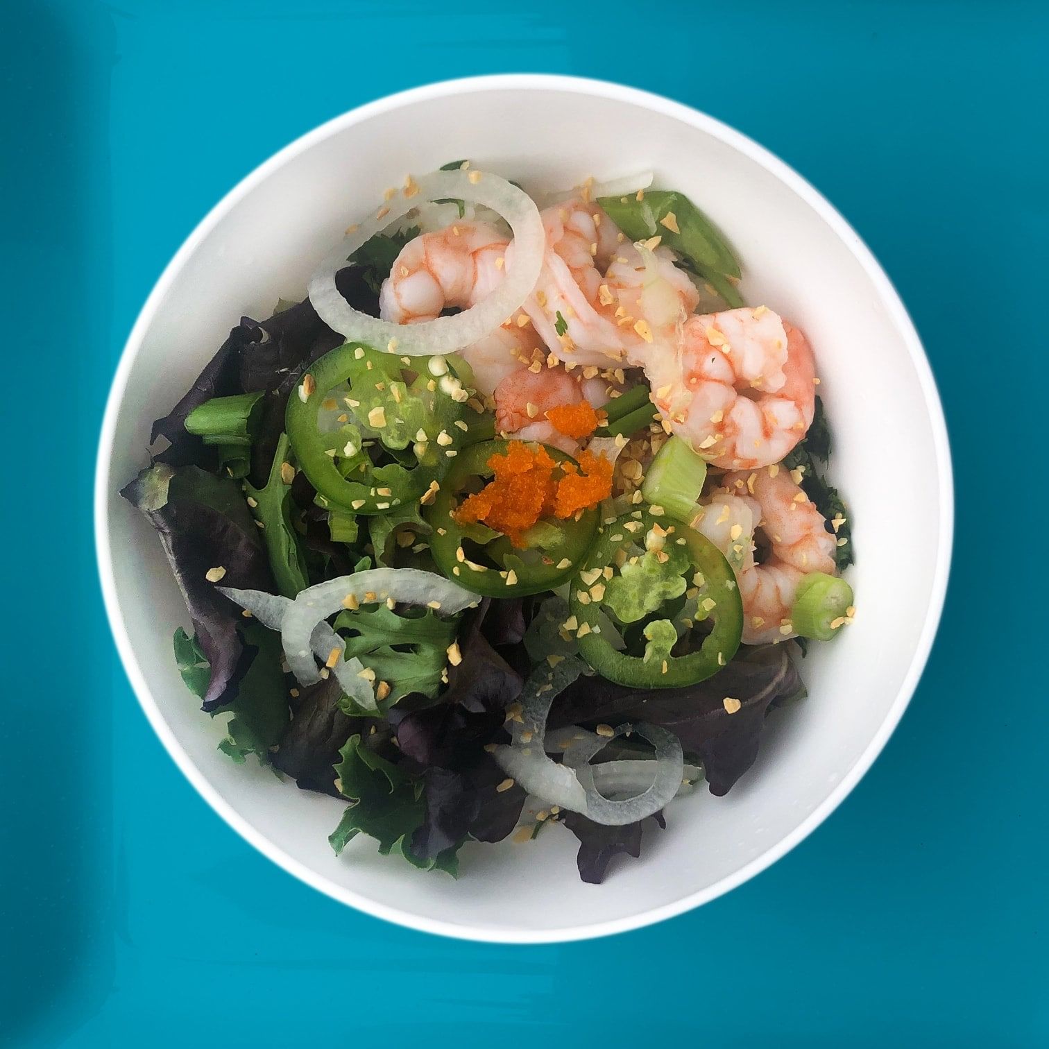 Blackpoint - Shrimp