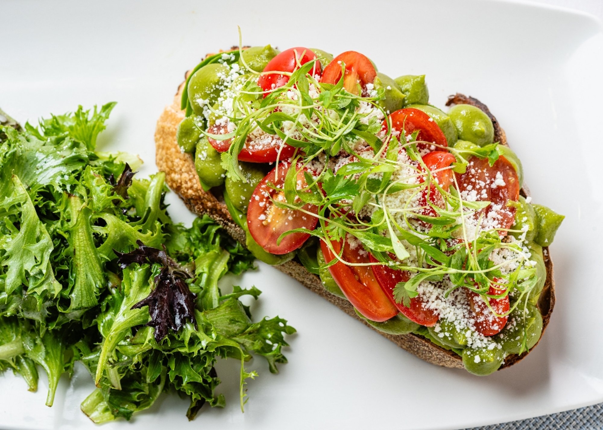Avocado Tartine