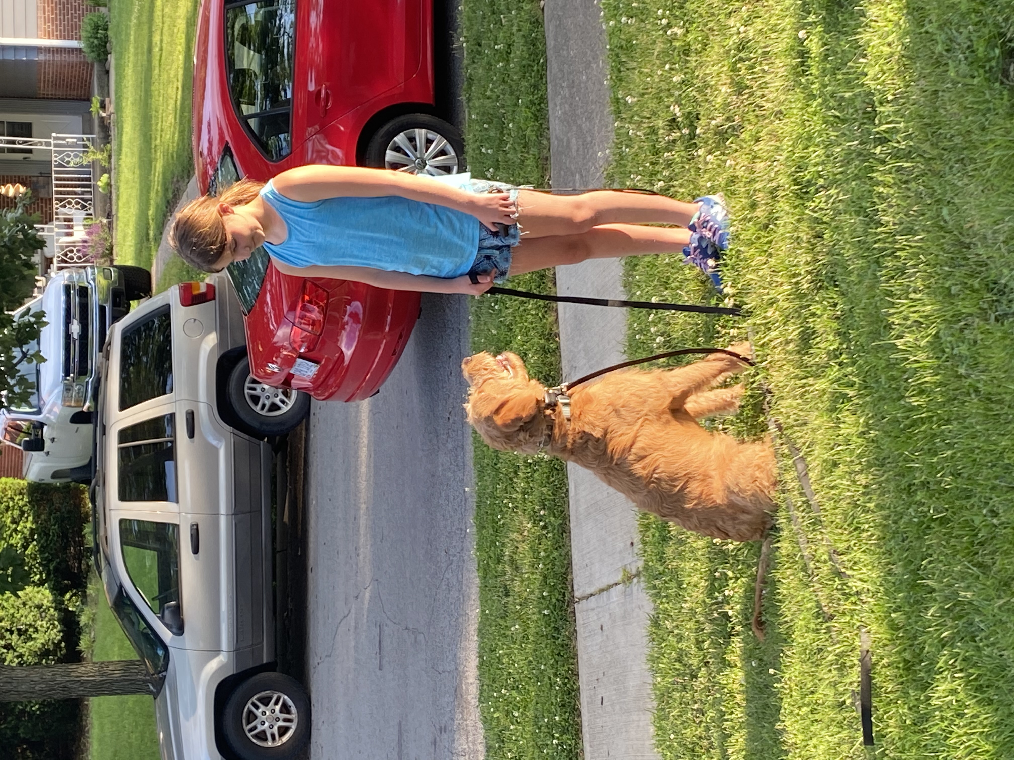 Underdog K-9 Academy LLC Image