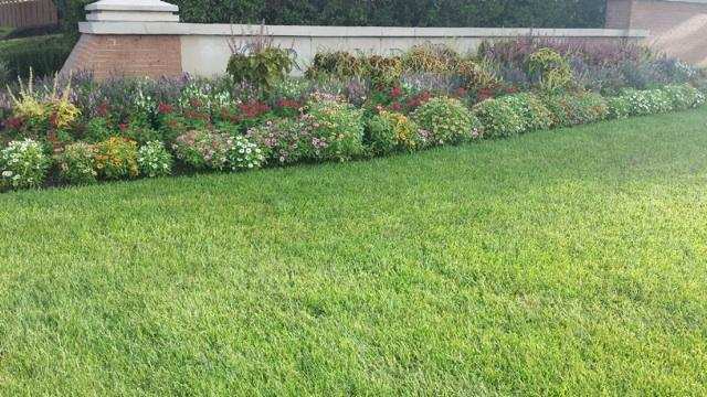 Design Landscaping & Tree Service Image