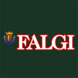 Falgi Carting Inc