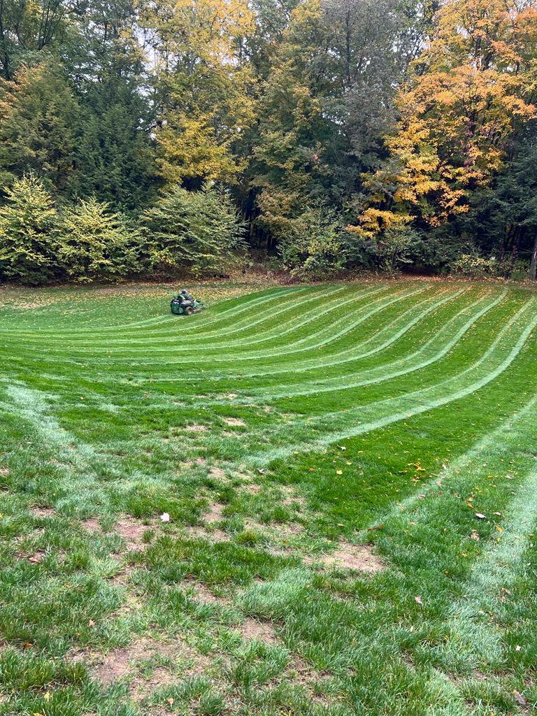 Lozada's Landscaping & Tree Services LLC Image