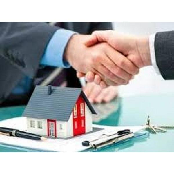 Adam Gavzer Realtor